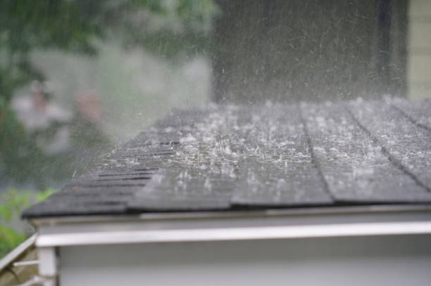 Best Roof Leak Repair  in Lone Oak, TN