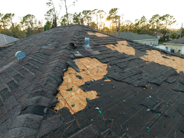 Best 4 Ply Roofing  in Lone Oak, TN